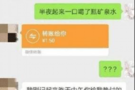 宣威为什么选择专业追讨公司来处理您的债务纠纷？